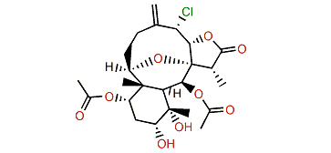 Erythrolide P